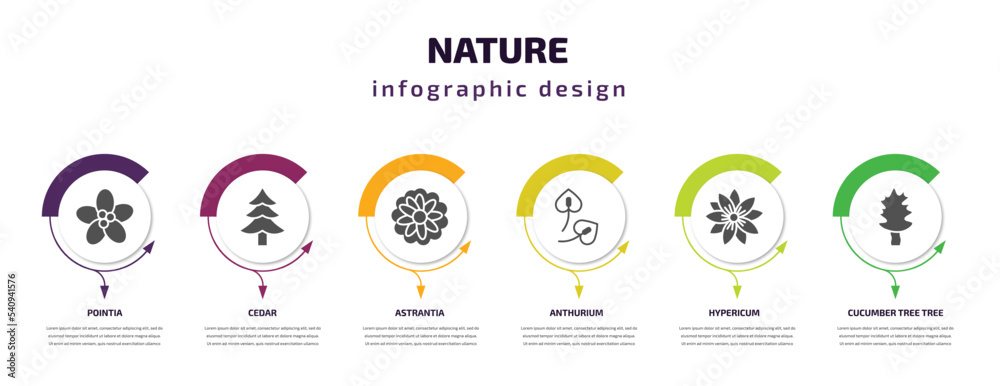nature infographic template with icons and 6 step or option. nature icons such as pointia, cedar, astrantia, anthurium, hypericum, cucumber tree tree vector. can be used for banner, info graph, web, nature infographic template with icons and 6 step or option. nature icons such as pointia, cedar, astrantia, anthurium, hypericum, cucumber tree tree vector. can be used for banner, info graph, web,