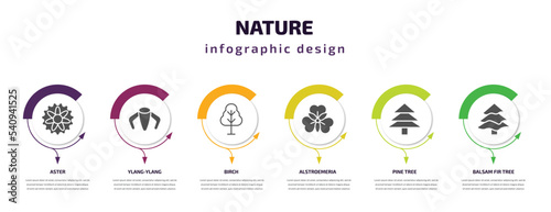 nature infographic template with icons and 6 step or option. nature icons such as aster, ylang-ylang, birch, alstroemeria, pine tree, balsam fir tree vector. can be used for banner, info graph, web,