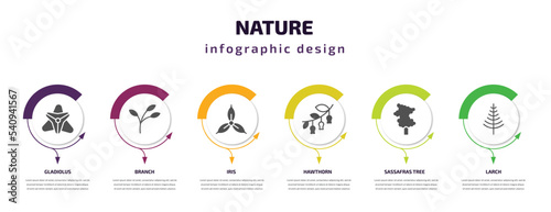 nature infographic template with icons and 6 step or option. nature icons such as gladiolus, branch, iris, hawthorn, sassafras tree, larch vector. can be used for banner, info graph, web,