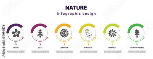 nature infographic template with icons and 6 step or option. nature icons such as pointia, cedar, astrantia, anthurium, hypericum, cucumber tree tree vector. can be used for banner, info graph, web, photo