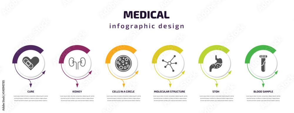 medical infographic template with icons and 6 step or option. medical icons such as cure, kidney, cells in a circle, molecular structure, stoh, blood sample vector. can be used for banner, info medical infographic template with icons and 6 step or option. medical icons such as cure, kidney, cells in a circle, molecular structure, stoh, blood sample vector. can be used for banner, info