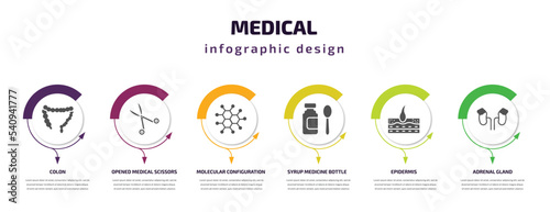 medical infographic template with icons and 6 step or option. medical icons such as colon, opened medical scissors, molecular configuration, syrup medicine bottle, epidermis, adrenal gland vector.