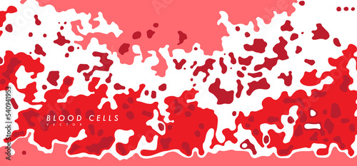 Human red blood cells.