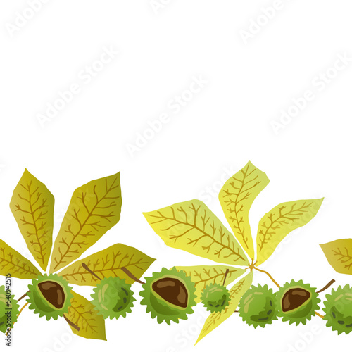 Seamless border pattern with Horse Chestnut Leaf and fruit. Autumn leaves on white background. Colorful design of chestnut leaf vector for any application. Simple cartoon flat style.