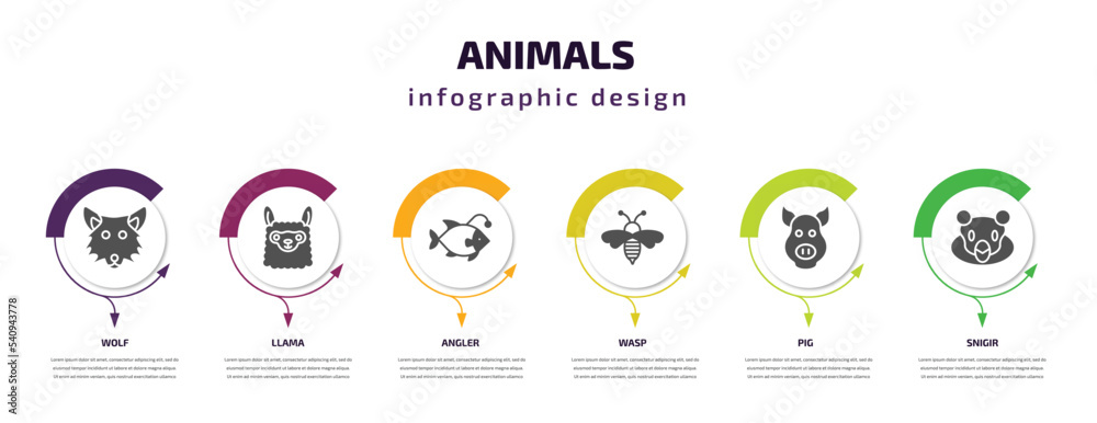 animals infographic template with icons and 6 step or option. animals icons such as wolf, llama, angler, wasp, pig, snigir vector. can be used for banner, info graph, web, presentations.
