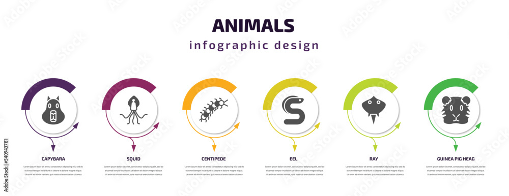animals infographic template with icons and 6 step or option. animals icons such as capybara, squid, centipede, eel, ray, guinea pig heag vector. can be used for banner, info graph, web, animals infographic template with icons and 6 step or option. animals icons such as capybara, squid, centipede, eel, ray, guinea pig heag vector. can be used for banner, info graph, web,
