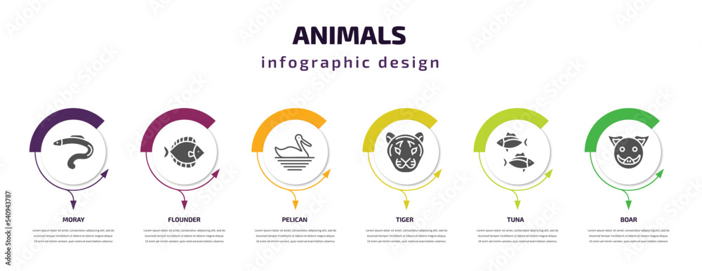 animals infographic template with icons and 6 step or option. animals icons such as moray, flounder, pelican, tiger, tuna, boar vector. can be used for banner, info graph, web, presentations. animals infographic template with icons and 6 step or option. animals icons such as moray, flounder, pelican, tiger, tuna, boar vector. can be used for banner, info graph, web, presentations.