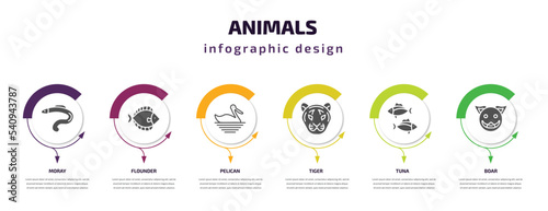 animals infographic template with icons and 6 step or option. animals icons such as moray, flounder, pelican, tiger, tuna, boar vector. can be used for banner, info graph, web, presentations.
