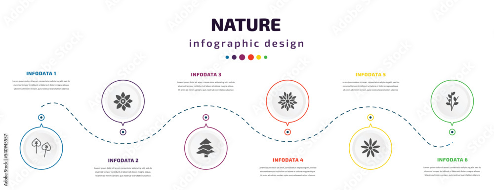 nature infographic element with icons and 6 step or option. nature icons such as poplar, jonquil, balsam fir tree, gerbera, daisy, willow vector. can be used for banner, info graph, web, - obrazy, fototapety, plakaty 