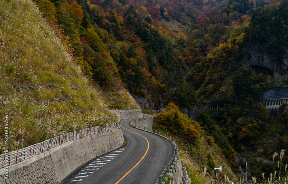 紅葉の中の道 紅葉の中の道