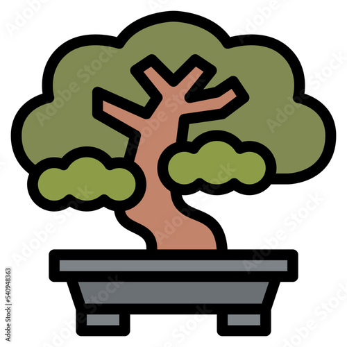 bonsai japanese plant