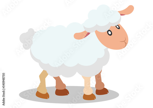 Flat vector design of cute sheep. Cartoon sheep isolated on white background