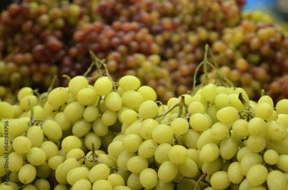 Bunch of grapes. Lots of green grapes. A stall in the market with grapes. Harvest merlot, sauvignon, shiraz, Bunch of grapes. Lots of green grapes. A stall in the market with grapes. Harvest merlot, sauvignon, shiraz,