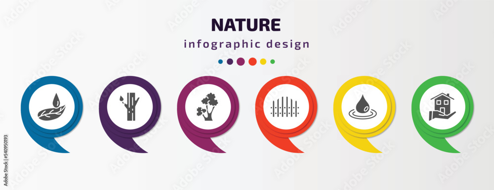nature infographic template with icons and 6 step or option. nature icons such as leaf and drop, trunk, scarlet oak tree, picket fence, raindrop, house for rent vector. can be used for banner, info nature infographic template with icons and 6 step or option. nature icons such as leaf and drop, trunk, scarlet oak tree, picket fence, raindrop, house for rent vector. can be used for banner, info