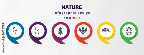 nature infographic template with icons and 6 step or option. nature icons such as fertilize clinic, willow leaf, spruce, sassafras leaf, trifoliate ternate, american mountain ash vector. can be used