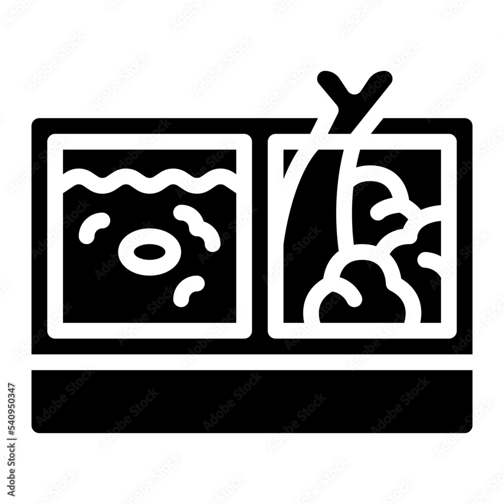 bento japanese food bento japanese food