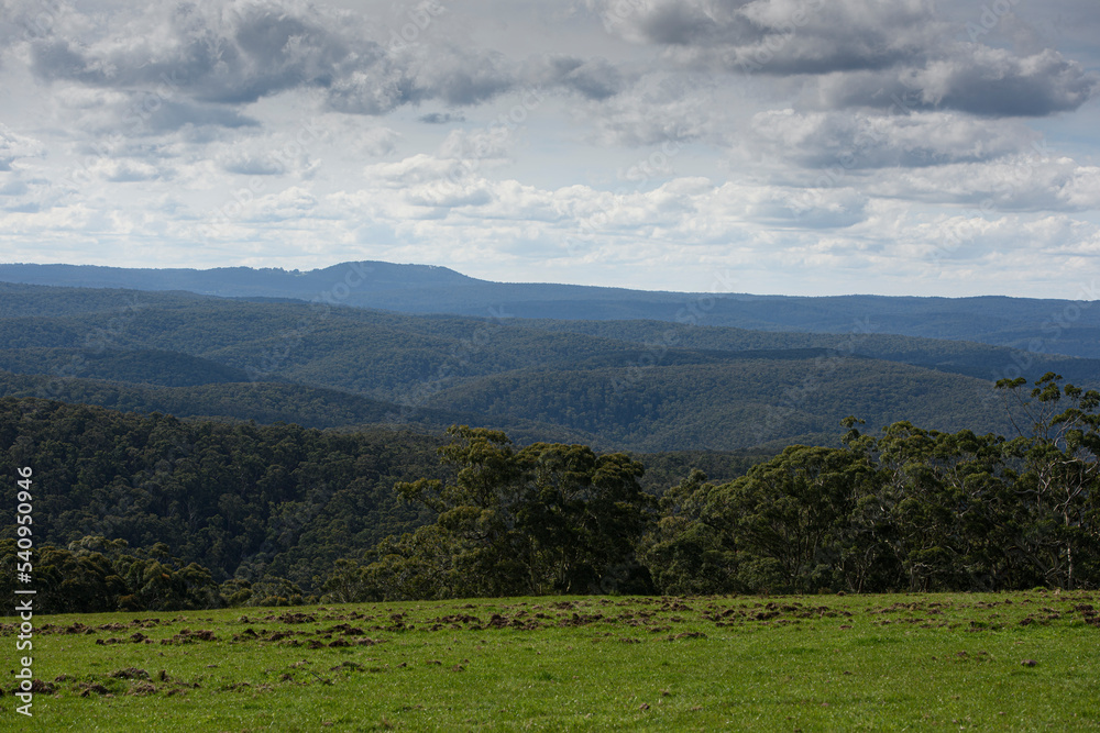 Fototapeta premium Landscape of Country Victoria, Australia