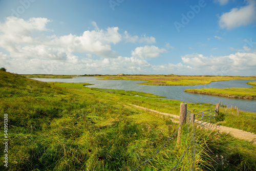 Het Zwin wildlife reservation, Belgium