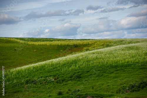 Landscape of Country Victoria  Australia