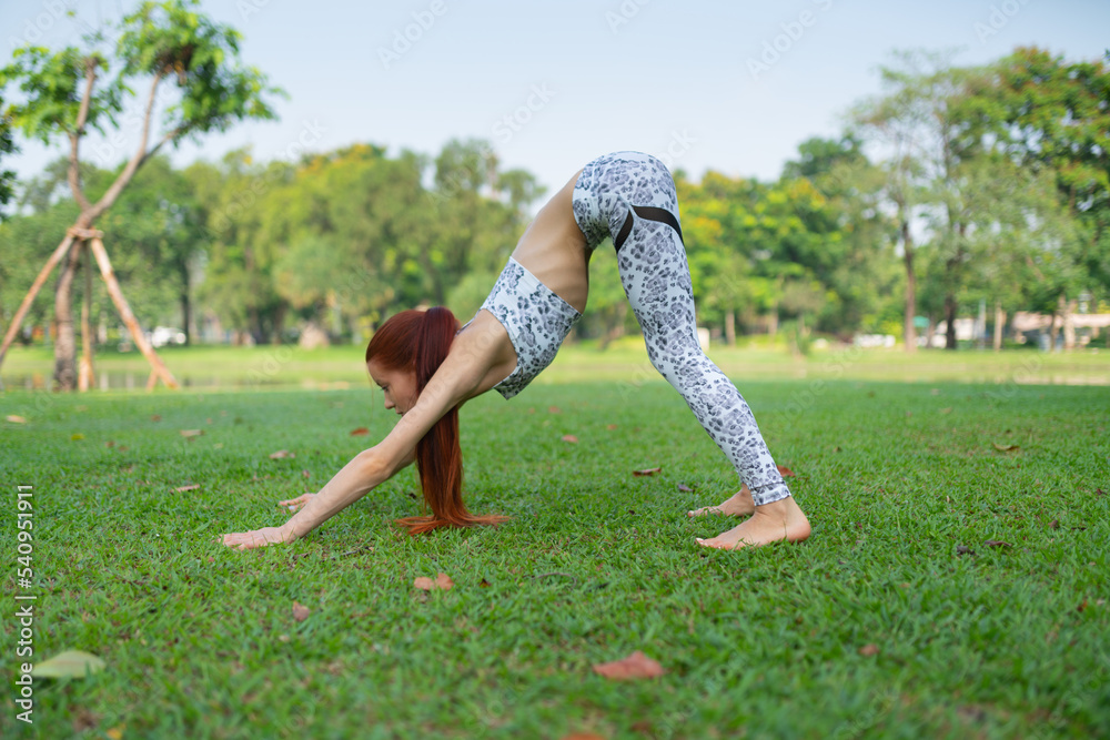 Portrait photo of a young beautiful brunette woman lady with fit body build practicing high skill yoga poses for her daily fitness exercise training in a community park Portrait photo of a young beautiful brunette woman lady with fit body build practicing high skill yoga poses for her daily fitness exercise training in a community park