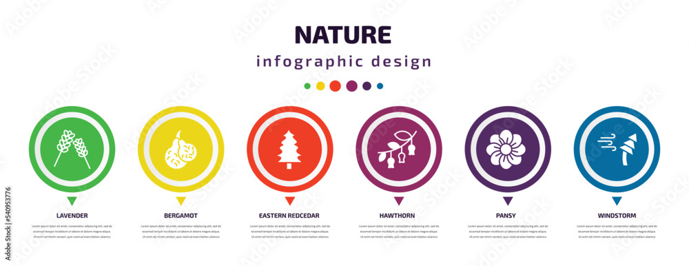 nature infographic element with icons and 6 step or option. nature icons such as lavender, bergamot, eastern redcedar tree, hawthorn, pansy, windstorm vector. can be used for banner, info graph, nature infographic element with icons and 6 step or option. nature icons such as lavender, bergamot, eastern redcedar tree, hawthorn, pansy, windstorm vector. can be used for banner, info graph,