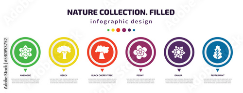 nature collection. filled infographic element with icons and 6 step or option. nature collection. filled icons such as anemone, beech, black cherry tree, peony, dahlia, peppermint vector. can be