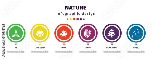 nature infographic element with icons and 6 step or option. nature icons such as iris, lotus flower, maple, almond, balsam fir tree, bluebell vector. can be used for banner, info graph, web,