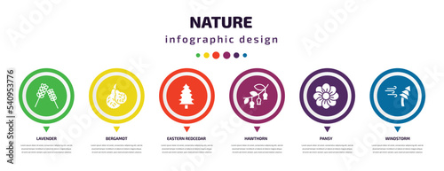 nature infographic element with icons and 6 step or option. nature icons such as lavender, bergamot, eastern redcedar tree, hawthorn, pansy, windstorm vector. can be used for banner, info graph,