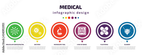 medical infographic element with icons and 6 step or option. medical icons such as molecular configuration, bacteria, microscope tool, x ray of bones, plastering, bladder vector. can be used for