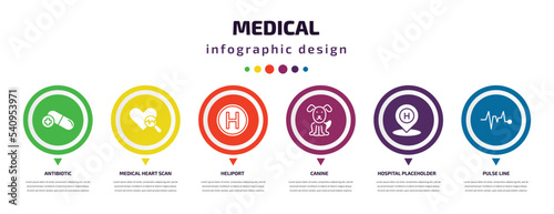 medical infographic element with icons and 6 step or option. medical icons such as antibiotic, medical heart scan, heliport, canine, hospital placeholder, pulse line vector. can be used for banner,