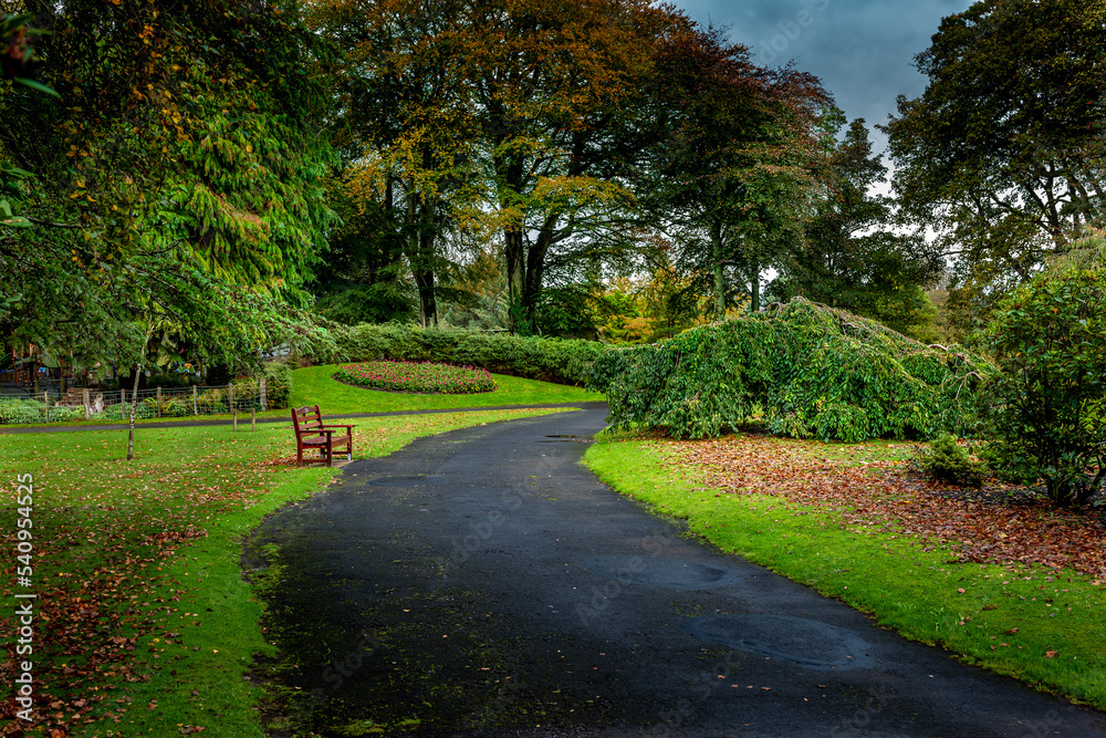 path through the park in autumn season 