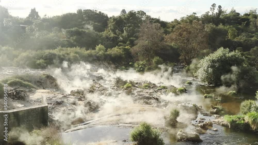 Te Pui Pohuta geyser in geothermal volcanic park Rotorua New Zealand. High quality FullHD footage Te Pui Pohuta geyser in geothermal volcanic park Rotorua New Zealand. High quality FullHD footage