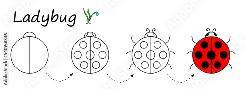 worksheet for step by step drawing ladybug. teaching basic drawing. Children's coloring, draw a ladybug. Easy educational game for children of preschool and primary school age