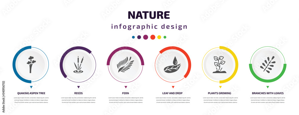 nature infographic element with icons and 6 step or option. nature icons such as quaking aspen tree, reeds, fern, leaf and drop, plants growing, branches with leaves vector. can be used for banner, nature infographic element with icons and 6 step or option. nature icons such as quaking aspen tree, reeds, fern, leaf and drop, plants growing, branches with leaves vector. can be used for banner,