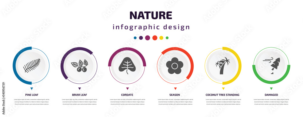 nature infographic element with icons and 6 step or option. nature icons such as pine leaf, briar leaf, cordate, season, coconut tree standing, damaged vector. can be used for banner, info graph, nature infographic element with icons and 6 step or option. nature icons such as pine leaf, briar leaf, cordate, season, coconut tree standing, damaged vector. can be used for banner, info graph,