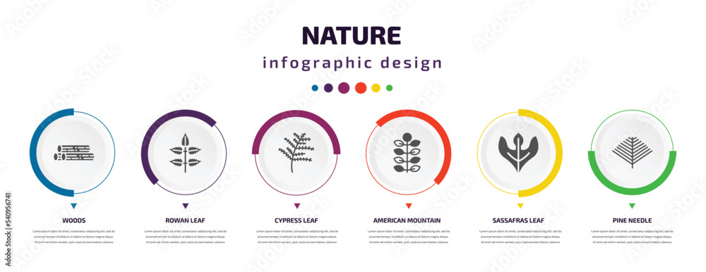 nature infographic element with icons and 6 step or option. nature icons such as woods, rowan leaf, cypress leaf, american mountain ash, sassafras leaf, pine needle vector. can be used for banner, nature infographic element with icons and 6 step or option. nature icons such as woods, rowan leaf, cypress leaf, american mountain ash, sassafras leaf, pine needle vector. can be used for banner,