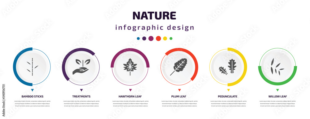 nature infographic element with icons and 6 step or option. nature icons such as bamboo sticks, treatments, hawthorn leaf, plum leaf, pedunculate, willow leaf vector. can be used for banner, info nature infographic element with icons and 6 step or option. nature icons such as bamboo sticks, treatments, hawthorn leaf, plum leaf, pedunculate, willow leaf vector. can be used for banner, info