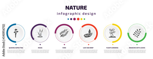 nature infographic element with icons and 6 step or option. nature icons such as quaking aspen tree, reeds, fern, leaf and drop, plants growing, branches with leaves vector. can be used for banner,
