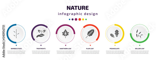nature infographic element with icons and 6 step or option. nature icons such as bamboo sticks, treatments, hawthorn leaf, plum leaf, pedunculate, willow leaf vector. can be used for banner, info