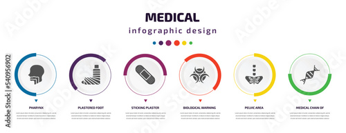 medical infographic element with icons and 6 step or option. medical icons such as pharynx, plastered foot, sticking plaster, biological warning, pelvic area, medical chain of dna vector. can be