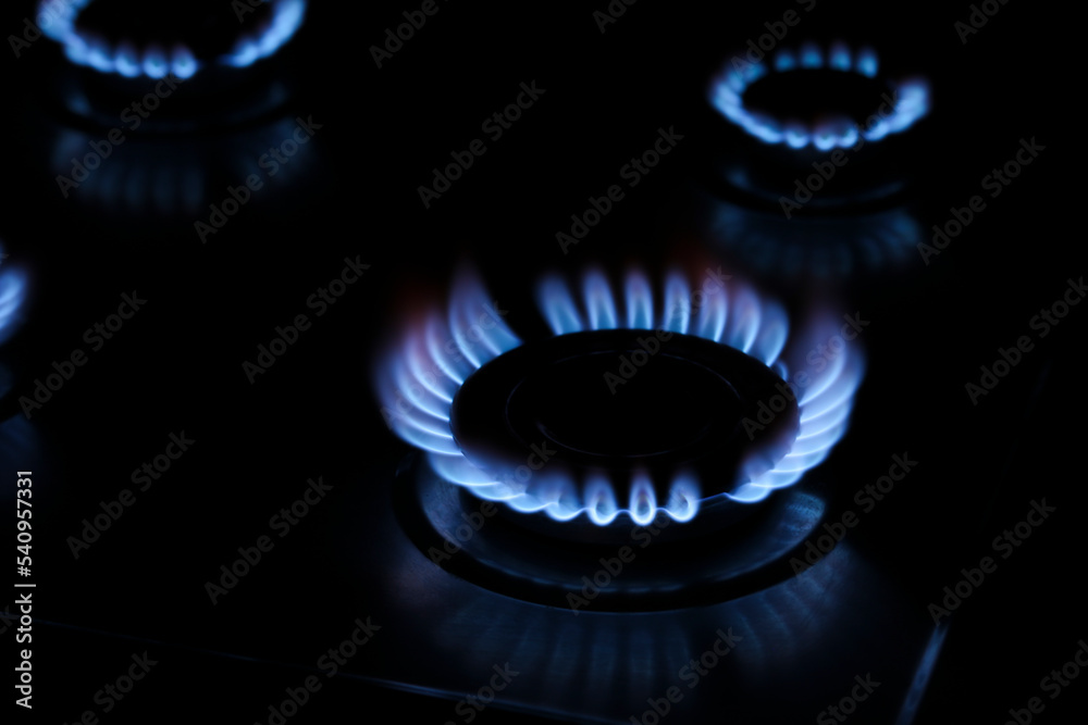 Gas burner with burning blue flames in darkness Gas burner with burning blue flames in darkness