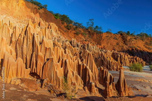 The amazing and unique Red Tsingys in Madagascar photo