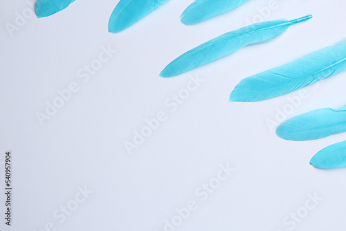 Fototapeta Naklejka Na Ścianę i Meble -  Light blue feathers on white background, space for text