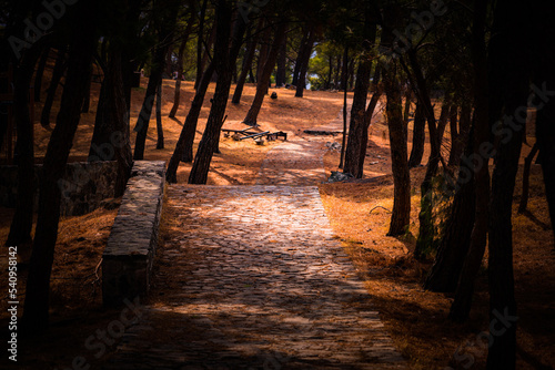When you are alone, you can feel the true yourself