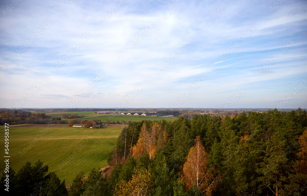 Beautiful autumn landscape with view on a field and forest, selective focus