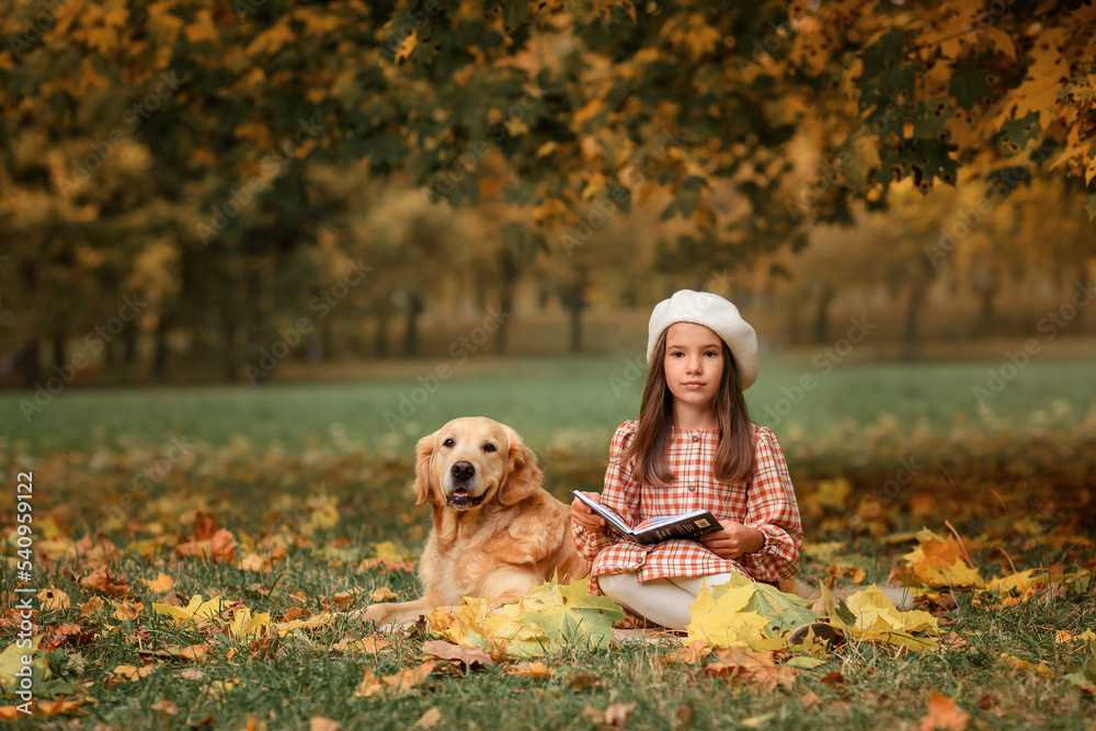 beautiful girl in the autumn park with a dog golden retriever labrador for a walk beautiful girl in the autumn park with a dog golden retriever labrador for a walk