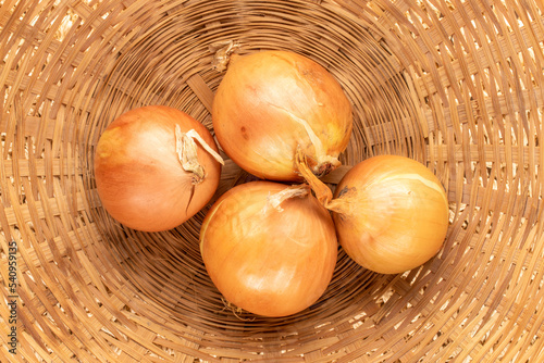 Four organic juicy unpeeled onions in a bowl of straw, close-up, top view.