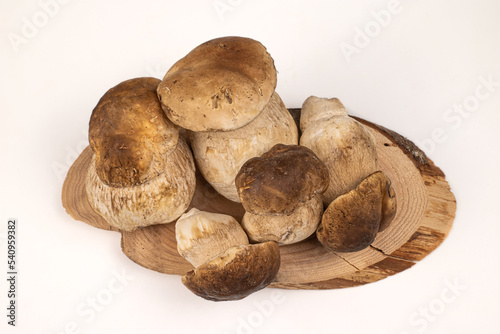 Fresh forest mushrooms, Boletus Edulis on wooden board with white background