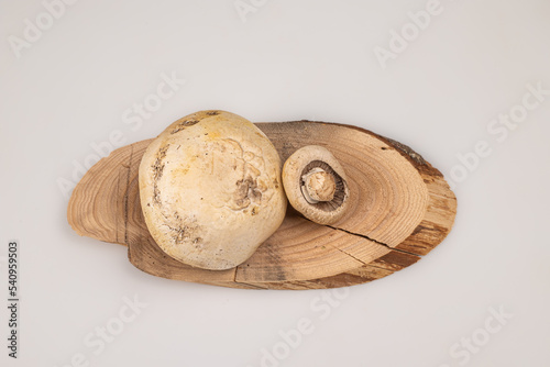 Wild mushrooms from the forest, on wooden board with white background
