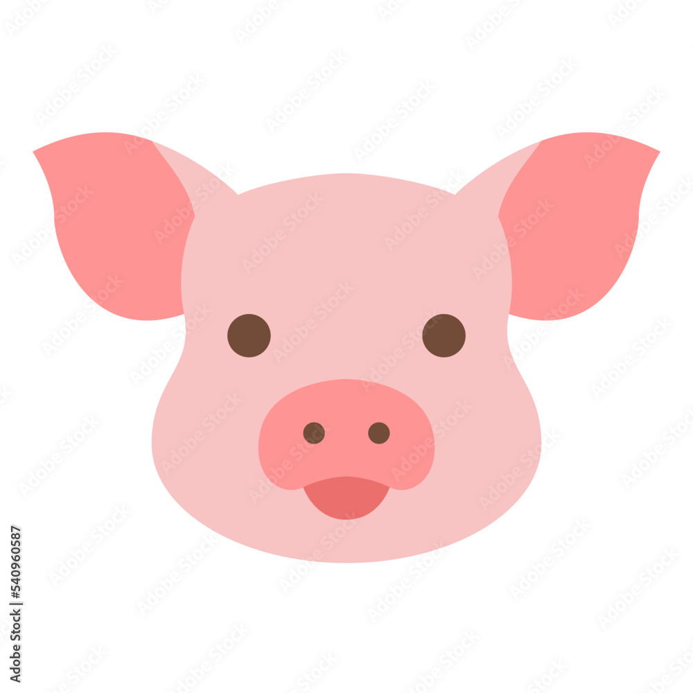 pig animal